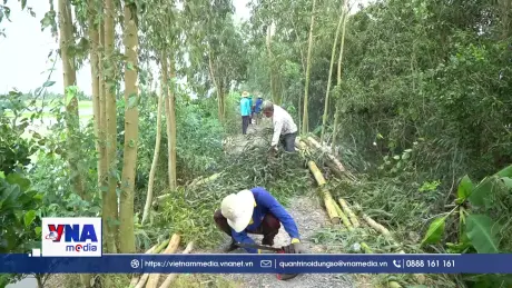 Nông dân Đồng Tháp căng mình chống lũ bảo vệ ruộng vườn