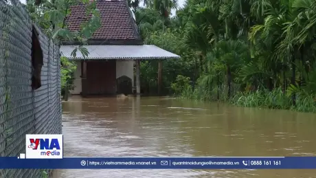 Mưa lũ gây ngập lụt, chia cắt nhiều nơi ở Quảng Ngãi