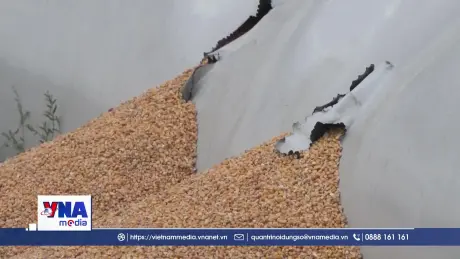 Hiệp định thương mại tự do EU-Ukaine nâng cấp có hiệu lực