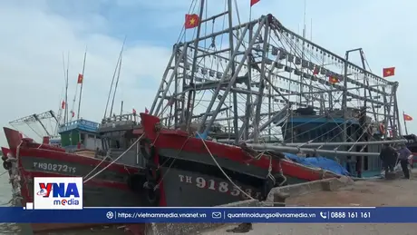 Triển khai nhiều giải pháp kiểm soát, hạn chế vi phạm khai thác IUU