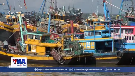 Lâm Đồng xử lý dứt điểm 100% tàu cá mất kết nối VMS