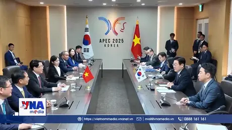 Chủ tịch nước Lương Cường hội đàm với Tổng thống Hàn Quốc