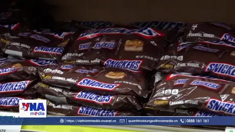 Thêm một mùa Halloween đắt đỏ do giá ca cao leo thang