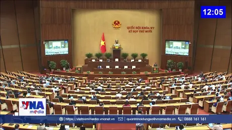 Nâng cao hiệu quả ký kết và thực hiện điều ước quốc tế