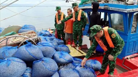 Quảng Ninh quản lý khai thác và phát triển nguồn lợi thủy sản