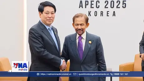 Phát triển hơn nữa quan hệ thực chất Việt Nam – Brunei