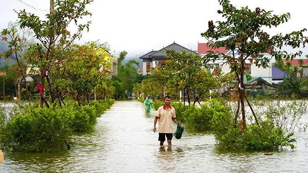 Thời tiết ngày 1/11: Mưa lớn diện rộng ở Trung Bộ, Bắc Bộ trời lạnh và có nơi rét