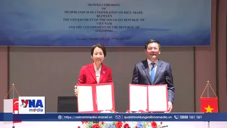 Thỏa thuận gạo Việt Nam - Singapore - Hình mẫu an ninh lương thực ASEAN