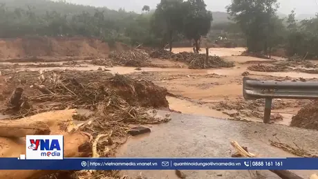 Trạm tin tối ngày 01/11/2025