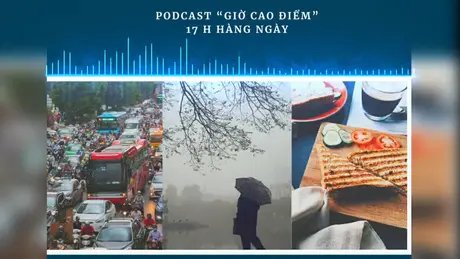 Giờ cao điểm ngày 01/11/2025