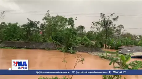 Trạm tin Chiều ngày 01/11/2025