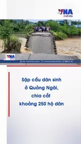 Sập cầu dân sinh ở Quảng Ngãi, chia cắt khoảng 250 hộ dân