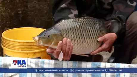 Ninh Bình khai thác tiềm năng nuôi trồng thủy sản