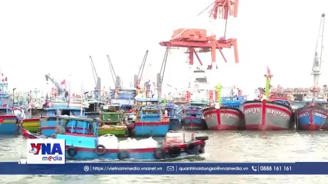 Bộ đội biên phòng Gia Lai chủ động ứng phó bão số 13