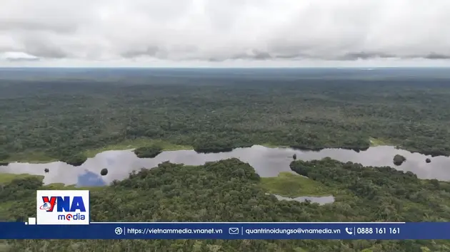 Brazil ghi nhận mức giảm phát thải kỷ lục