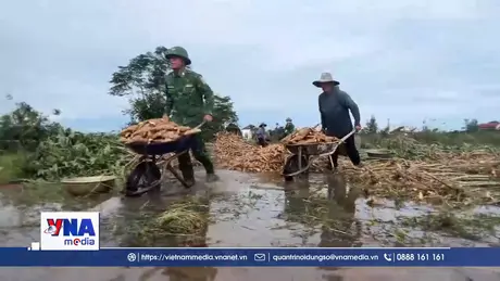 Bộ đội giúp dân thu hoạch nông sản chìm trong nước lũ