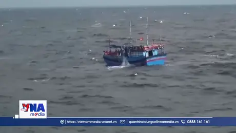 Trạm tin tối ngày 04/11/2025