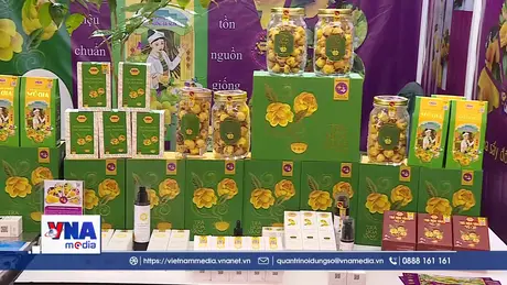 Tạo sức bật mới cho thương hiệu Việt từ Hội chợ Mùa Thu