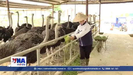 Điện Biên trên hành trình thoát nghèo bền vững