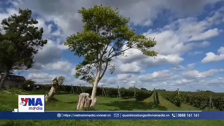 Yoichi – Hành trình sống hài hòa giữa con người và khí hậu