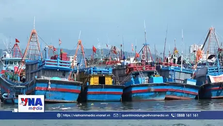 Ngư dân Khánh Hòa khẩn trương neo đậu tàu thuyền