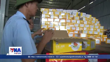 Lào Cai quyết liệt phòng, chống buôn lậu, gian lận thương mại dịp cuối năm