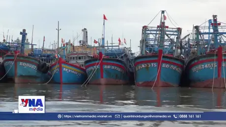 Bão số 13 còn cách Quy Nhơn hơn 200km