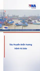 Tàu thuyền khẩn trương tránh trú bão