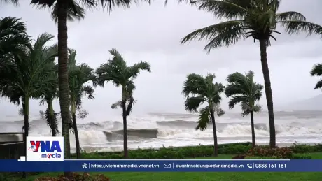 Gia Lai sẵn sàng ứng phó với Bão số 13