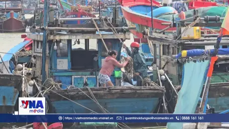 Tàu thuyền khẩn trương tránh trú bão
