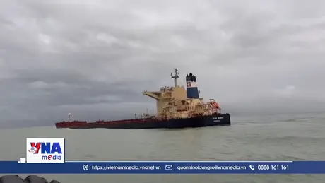 Khẩn trương xây dựng phương án ứng phó sự cố tàu Star Bueno mắc cạn