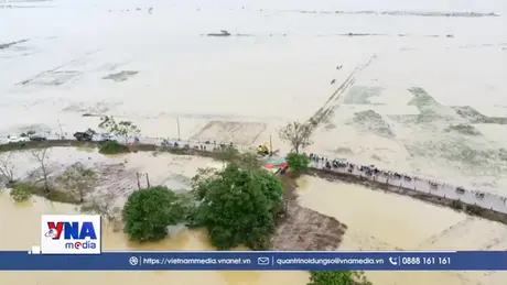 Huế nỗ lực củng cố đê điều vùng 