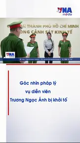 Góc nhìn pháp lý vụ diễn viên Trương Ngọc Ánh bị khởi tố 