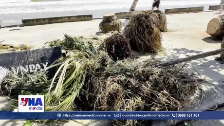 Đà Nẵng khẩn trương vệ sinh môi trường sau bão số 13