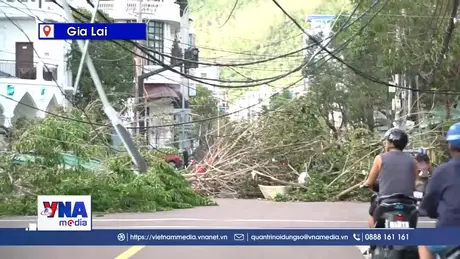 Hỗ trợ khẩn cấp 80 tỉ đồng cho 3 tỉnh khắc phục hậu quả sau bão