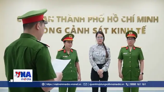 Góc nhìn pháp lý vụ diễn viên Trương Ngọc Ánh bị khởi tố