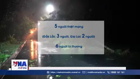 Thiệt hại bước đầu do bão số 13