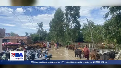 Gia Lai đảm bảo đời sống cho người dân tránh bão