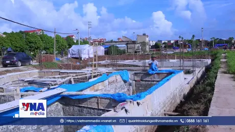 Đẩy nhanh tiến độ giải phóng mặt bằng đường cao tốc Ninh Bình - Hải Phòng