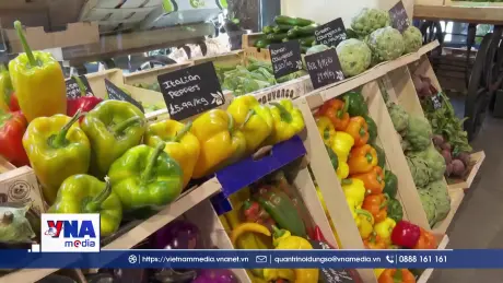 Giá lương thực thế giới tiếp tục giảm