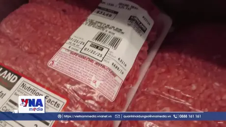 Mỹ điều tra các tập đoàn chế biến thịt 