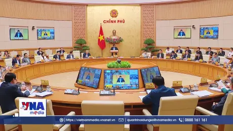 Trạm tin trưa 8/11/2025