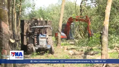 Bình Phước bàn giao mặt bằng cho cao tốc Bắc – Nam phía Tây