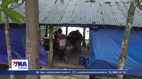 Nhiều vụ lấn chiếm vùng bán ngập hồ Trị An