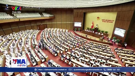 Trạm tin trưa ngày 10/11/2025