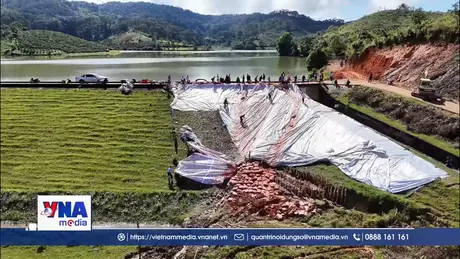 Trạm tin chiều ngày 10/11/2025