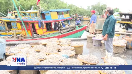 Đồng Tháp quyết tâm gỡ thẻ vàng IUU