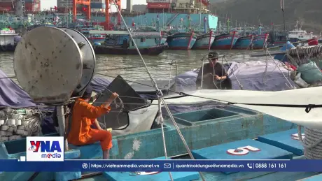 Ngư dân Gia Lai vươn khơi sau bão