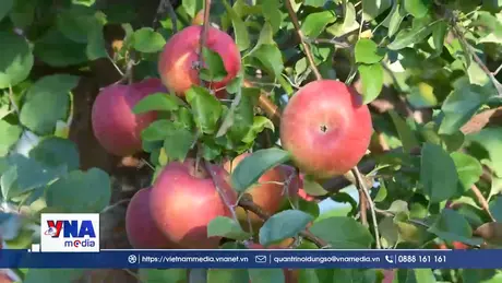 Nông nghiệp thích ứng biến đổi khí hậu