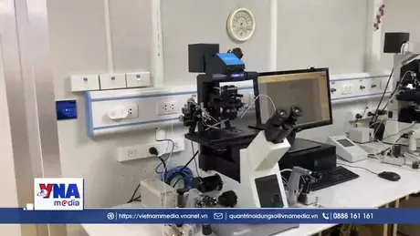 Đẩy mạnh ứng dụng AI trong sàng lọc, chẩn đoán sớm nguy cơ cao thai kỳ